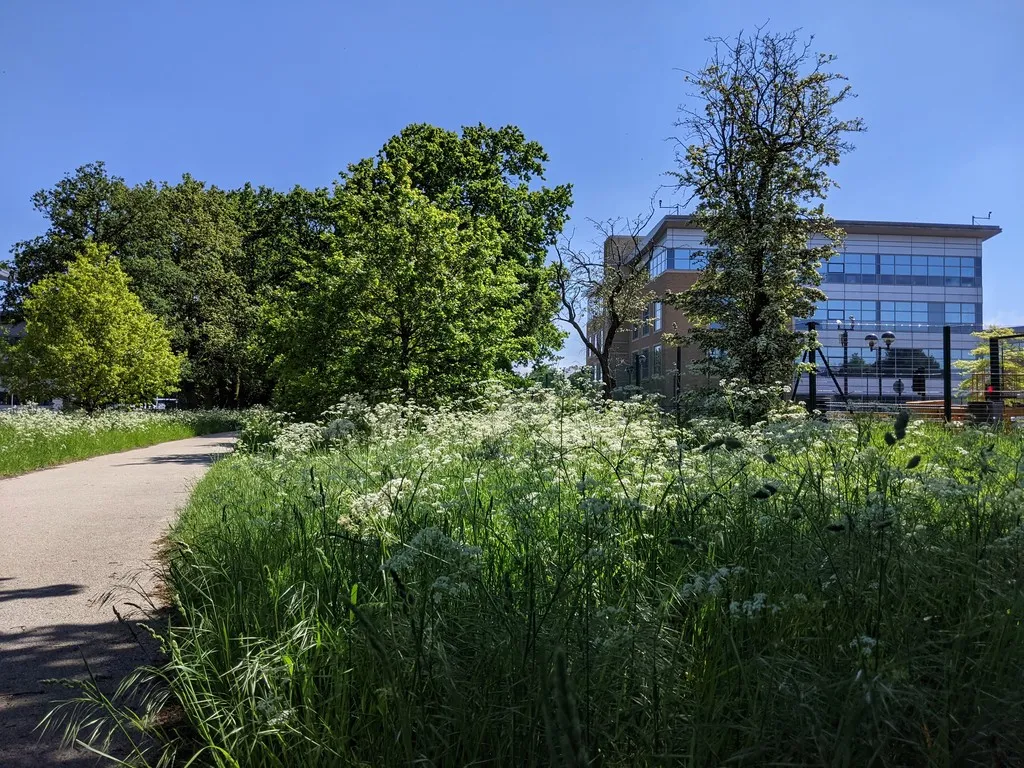 Business Parks