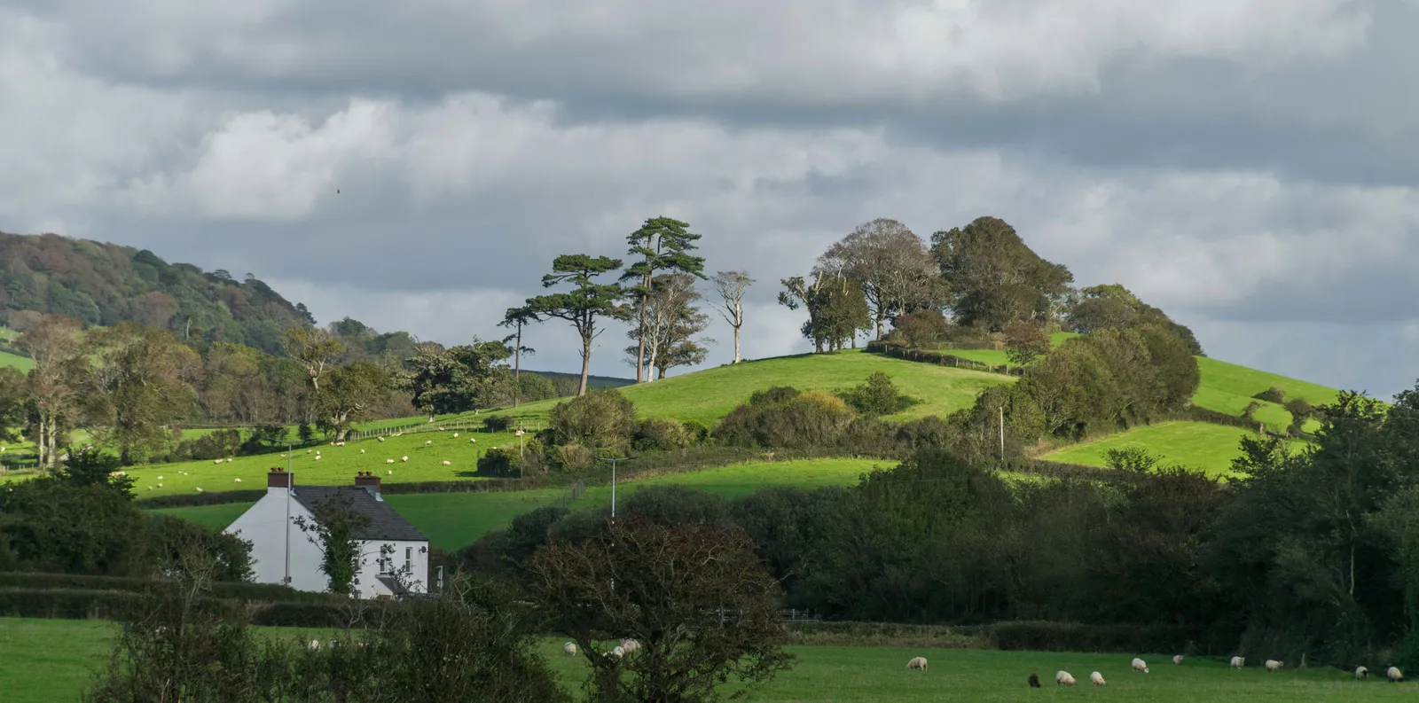 Rural farmhouse with surrounding fields — typical property benefiting from radio mesh IoT connectivity