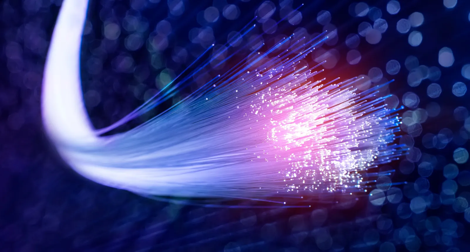 Managed firewall and network security