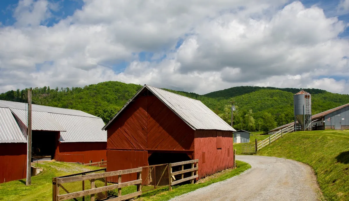 Multi-Building WiFi for Rural Properties