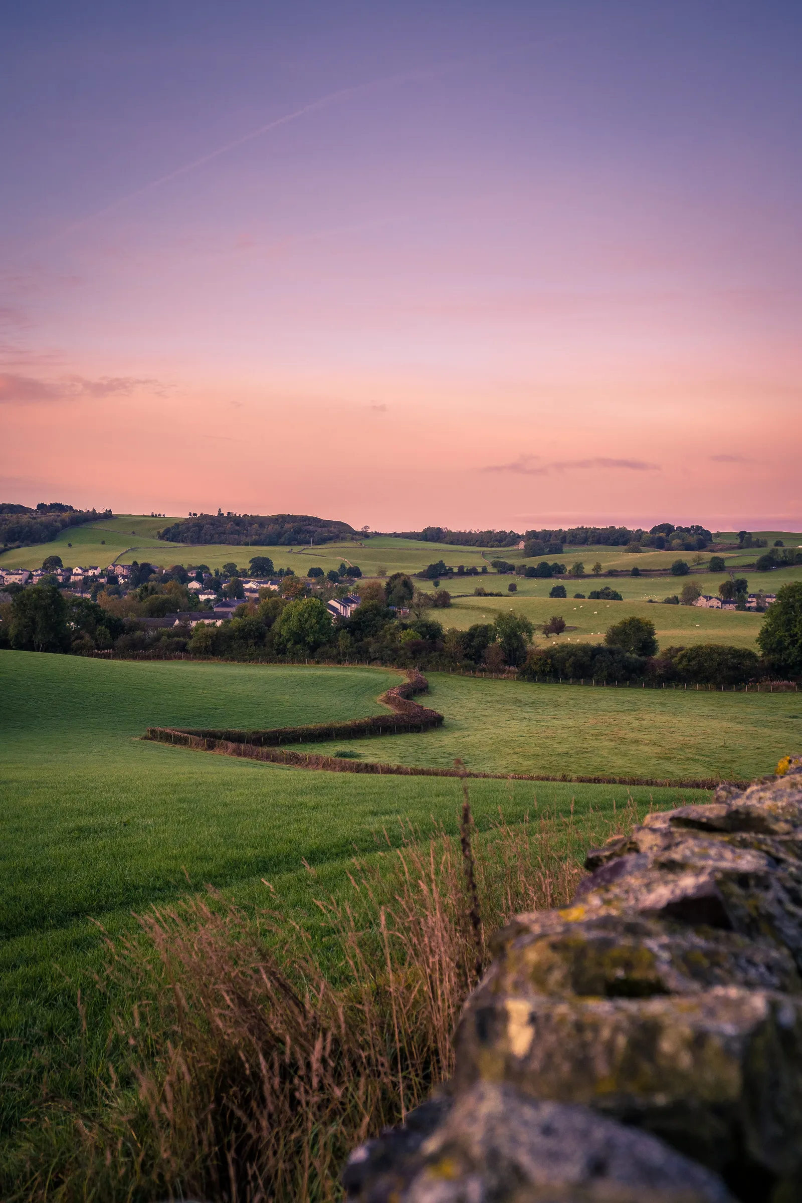 Single Mobile Network Connectivity Solutions: A Reliable Option?